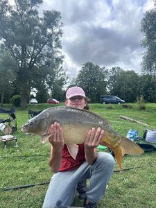 Mirror Carp