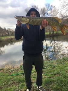 Northern Pike
