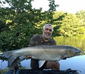 Grass Carp