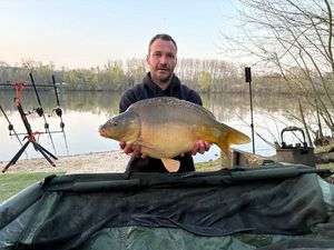 Mirror Carp