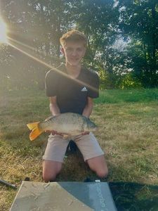 Common Carp