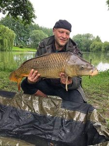 Common Carp