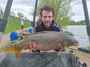 Common Carp