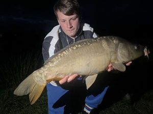Mirror Carp