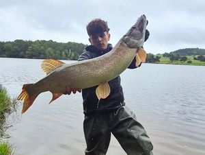 Northern Pike
