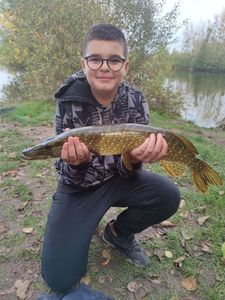 Northern Pike