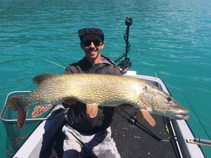 Northern Pike