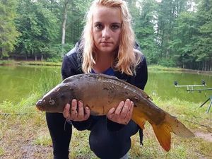 Mirror Carp