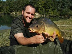 Mirror Carp