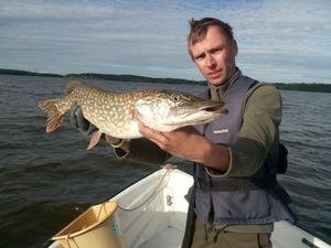 Northern Pike