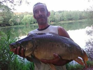 Mirror Carp