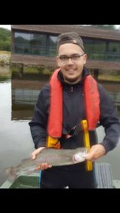 Rainbow Trout
