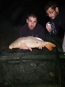 Mirror Carp