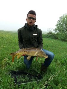 Mirror Carp