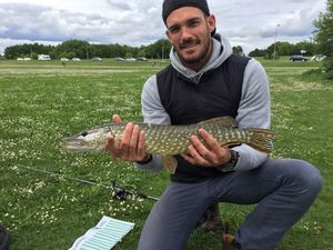 Northern Pike