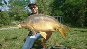 Mirror Carp