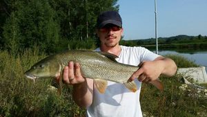 Barbel