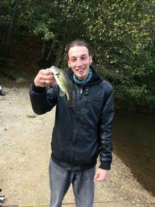 Largemouth Bass