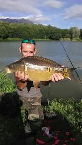 Mirror Carp