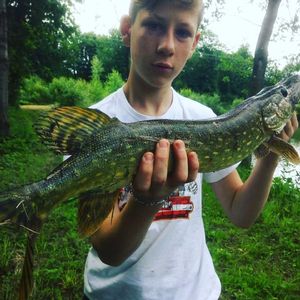 Northern Pike