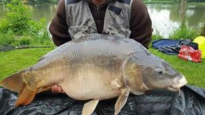 Leather Carp