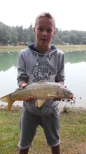 Common Carp