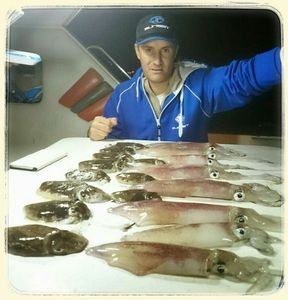 European Squid