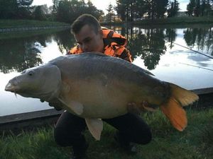 Mirror Carp