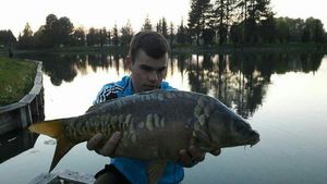 Leather Carp
