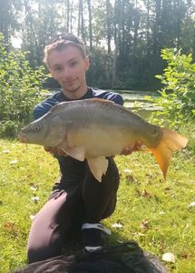 Mirror Carp