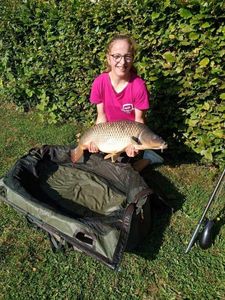 Common Carp