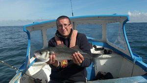 European Bass (Seabass)