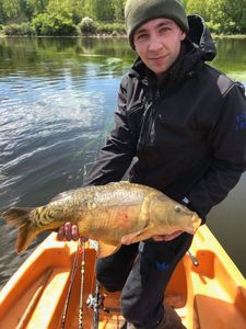 Mirror Carp