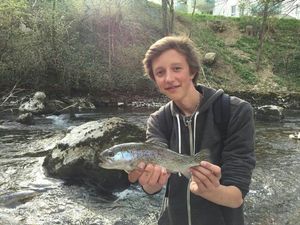Rainbow Trout