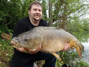Mirror Carp