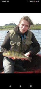 European Perch