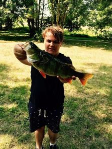 European Perch