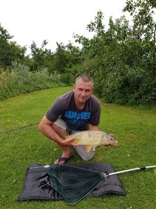 Common Carp