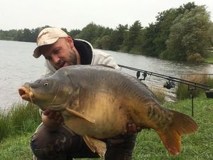 Mirror Carp