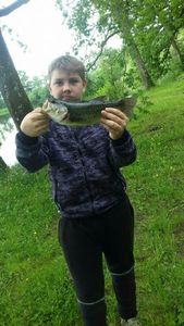 Largemouth Bass