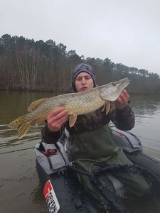 Northern Pike