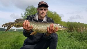 Northern Pike