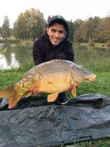 Mirror Carp