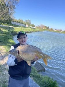 Leather Carp