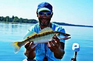 Zander