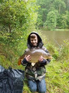 Common Carp