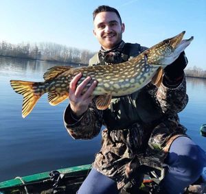 Northern Pike