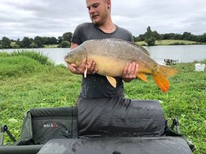 Mirror Carp