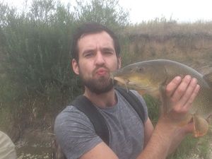 Barbel
