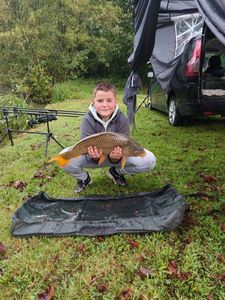 Common Carp